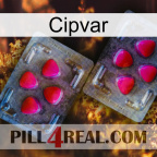 Cipvar 15